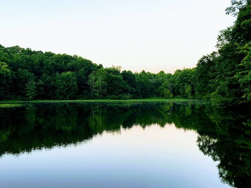 Wellston Wildlife Area - Image 1