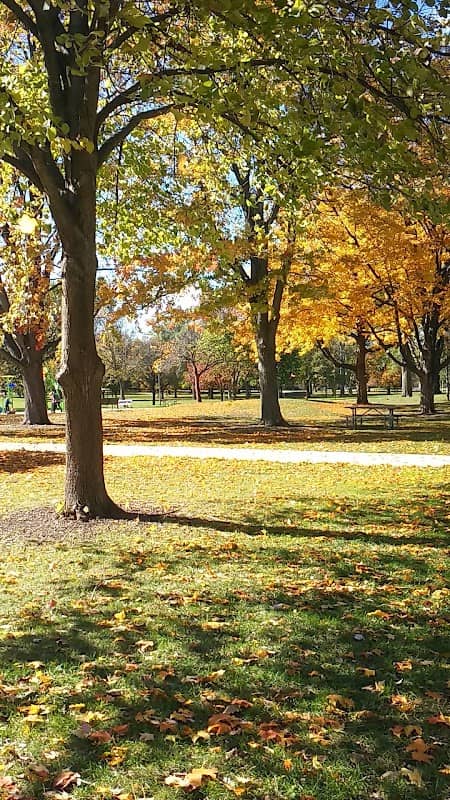 Hessel Park - Image 2