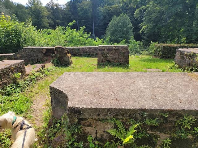 Mittelalterliche Ruine - Image 1