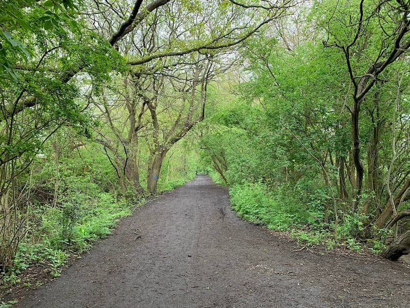 Whytell Wood - Image 2