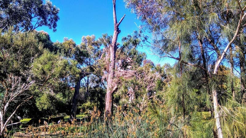 Carlyle Reserve - Image 1