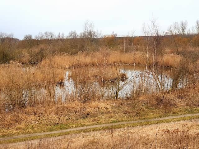 Rieselfelderlandschaft Hobrechtsfelde - Image 3