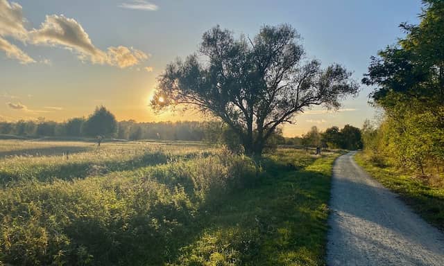 Rieselfelderlandschaft Hobrechtsfelde - Image 1