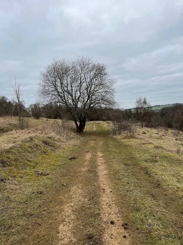 Rudge Hill Nature Reserve - Image 1