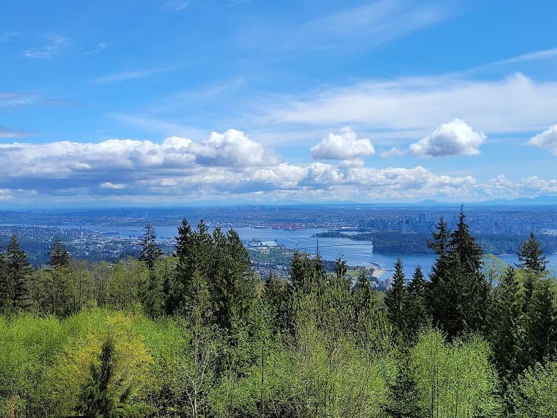 Cypress Lookout - Image 3