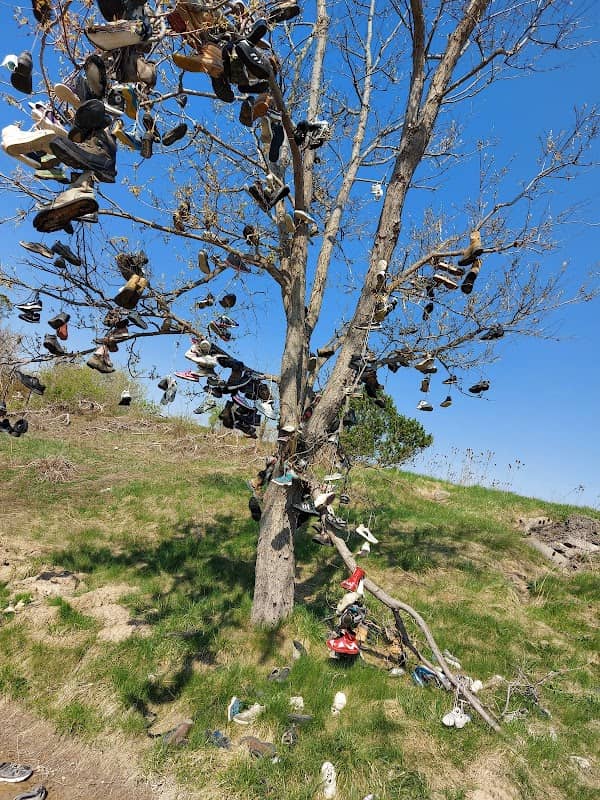 The Shoe Tree - Image 1