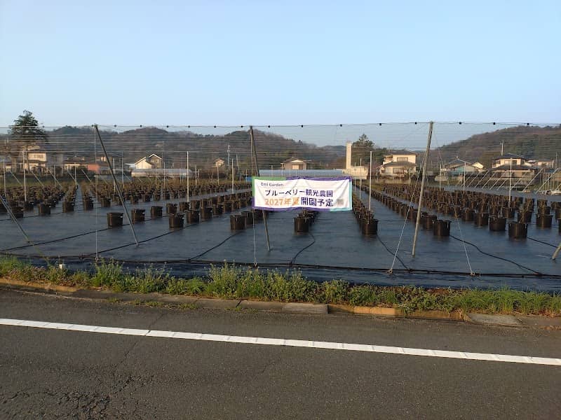Emi Garden ブルーベリー観光農園 - Image 1
