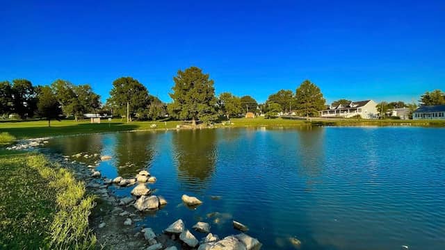 Fairgrounds Pond - Image 1