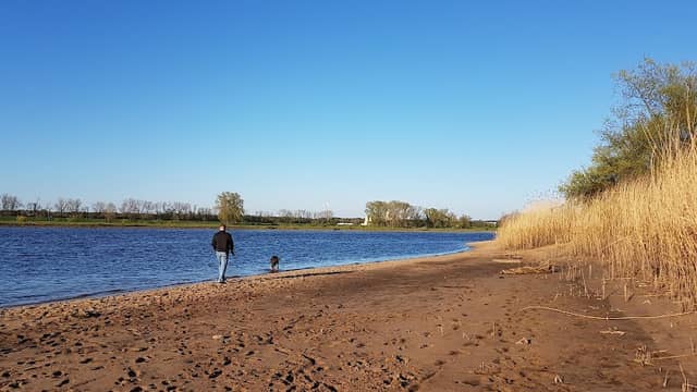 Camping Mohrmann - Image 2