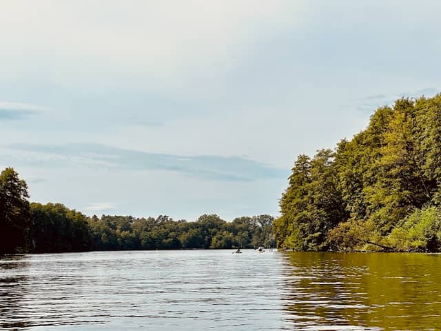 Paddle for Nature - Image 1
