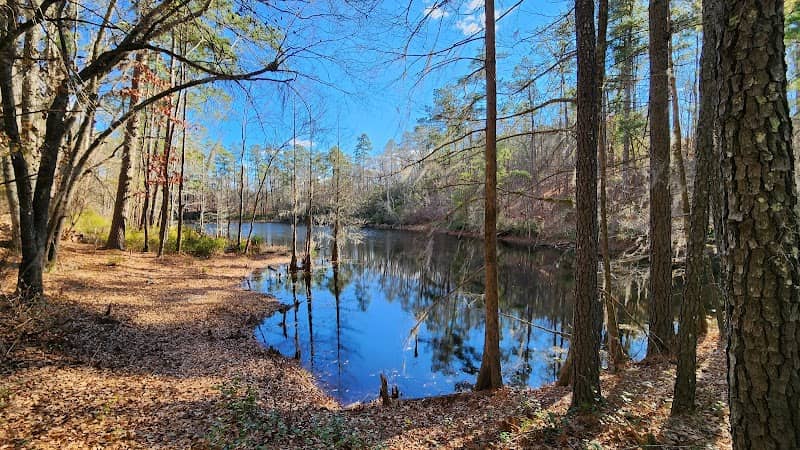 Manchester State Forest - Image 3