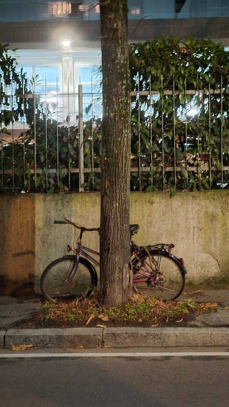 Bicicletta intrappolata nel tempo - Image 1