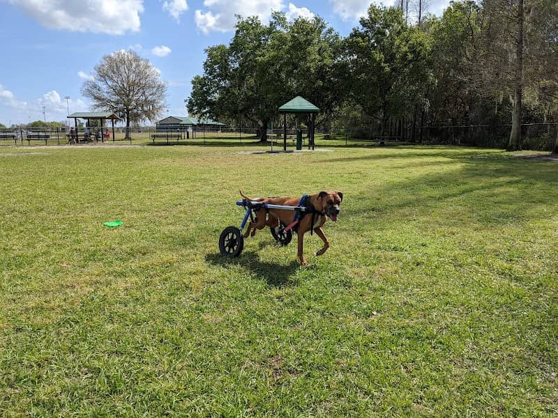 Diogi Dog Park - Image 1