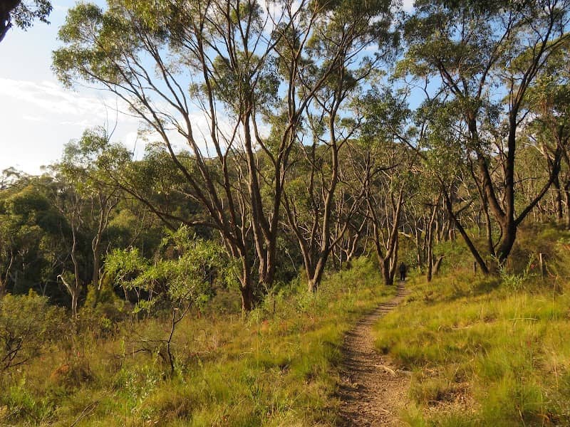 Engelbrook Reserve - Image 1