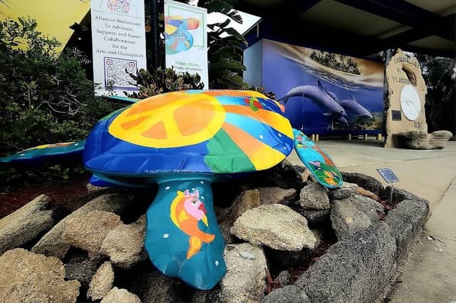 PCAF FC3 Turtle Trail: #22 Max - Image 1
