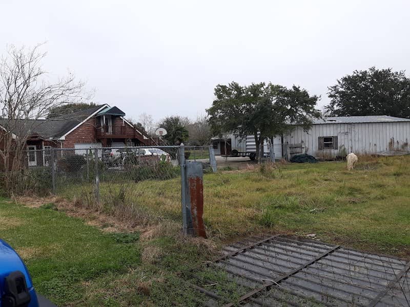 Cajun Wildlife Adventures - Image 1