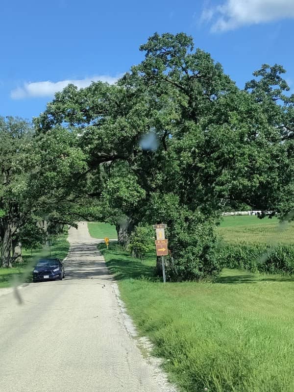 Rustic Road 11 - Image 2