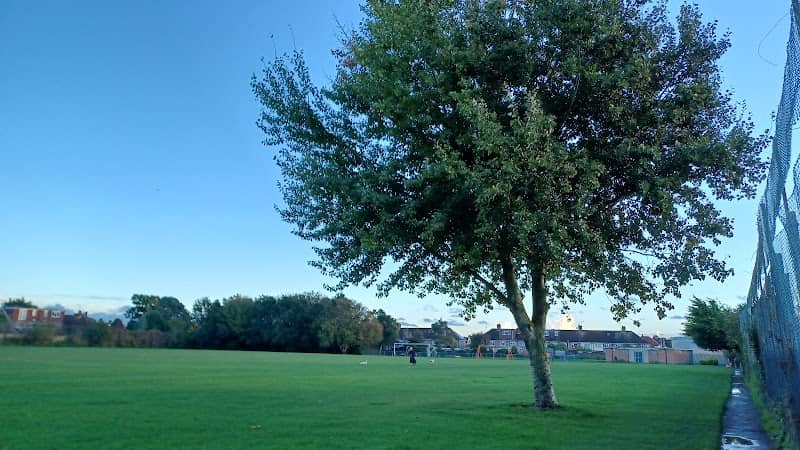 Park - Image 2