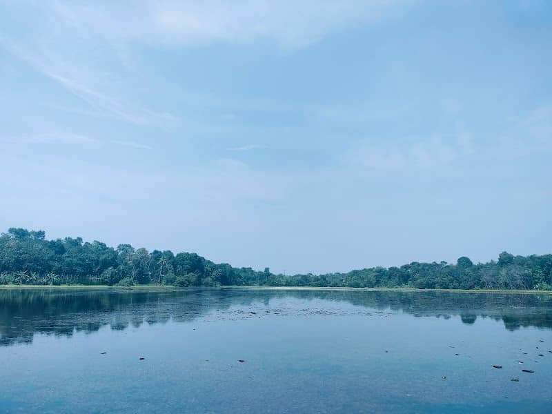 Vayyankara Chira ,Green Forest Tourism Project - Image 1