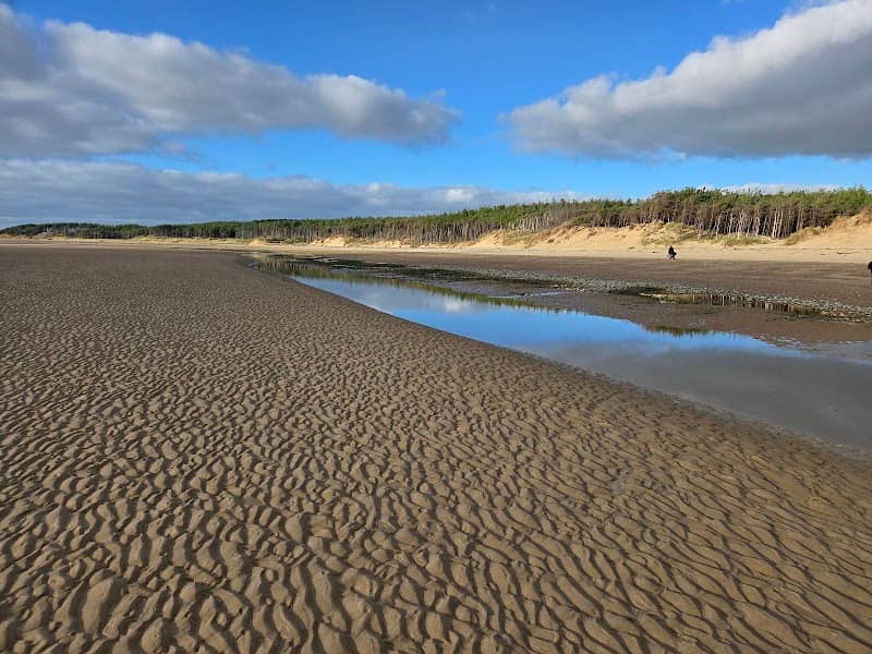 Newborough National Nature Reserve and Forest - Image 1