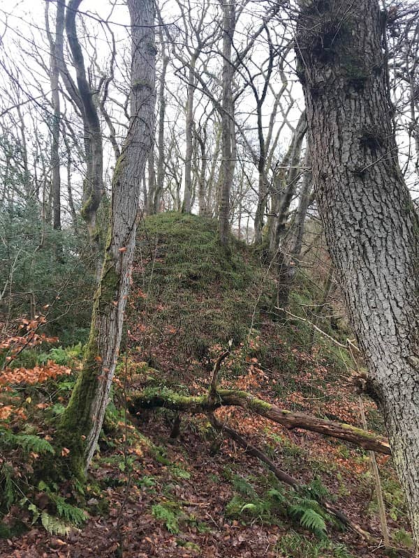 Dinerth Castle Remains site - Image 1
