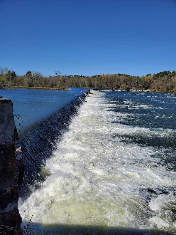 The Clearing Savannah Rapids - Image 1