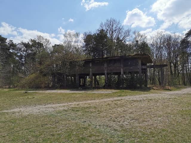 Besenhorster Sandberge und Elbsandwiesen - Image 2