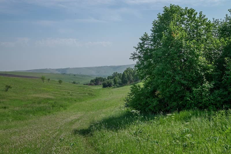 Log Sukhoy - Image 1