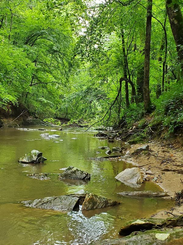 Tailwater Yadkin River Access - Image 1