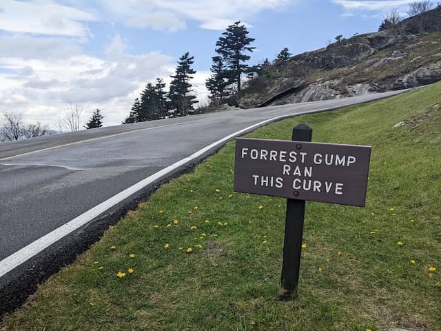 Forrest Gump Curve - Image 1
