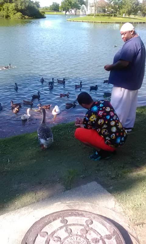 Meadowbrook Park - Image 2