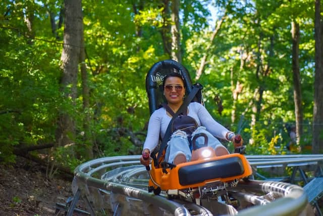 Aerie's Alpine Coaster - Image 2