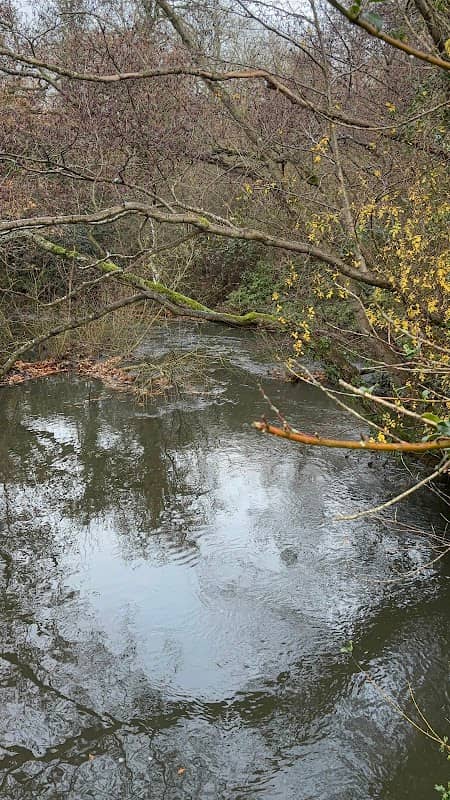 Blackwater footbridge - Image 2
