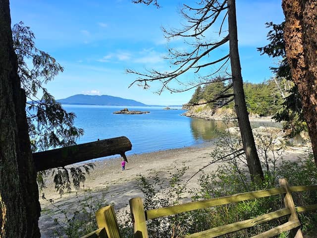 Wildcat Cove Overlook - Image 2