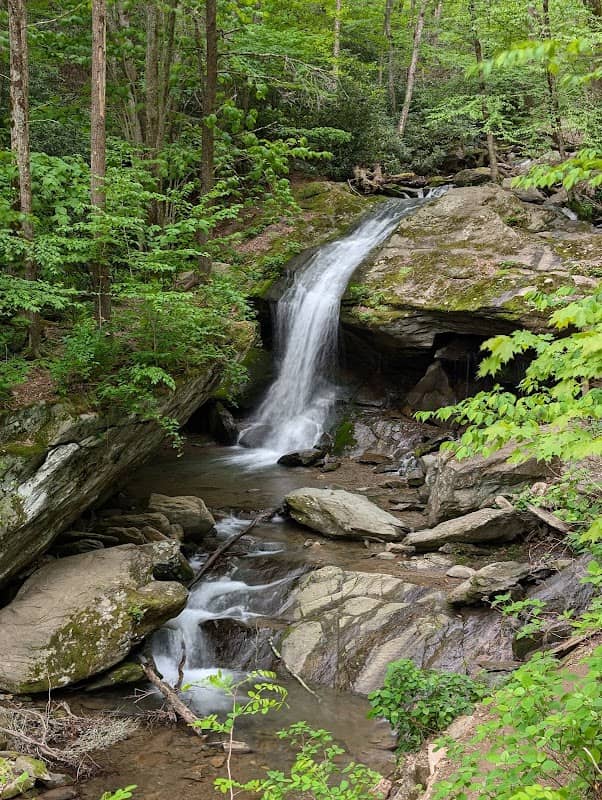Otter Falls Trail - Image 1