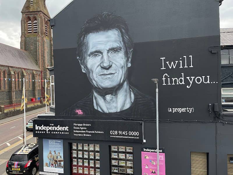 Liam Neeson Mural - Image 1