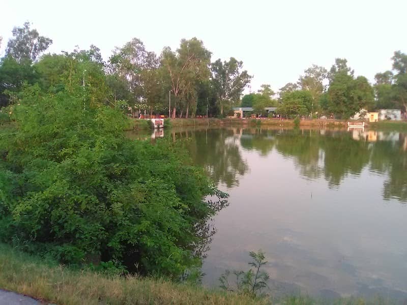 Golden Fish Park - Image 1
