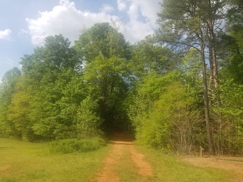 The Palmetto Trail: USC Upstate Passage - Image 1
