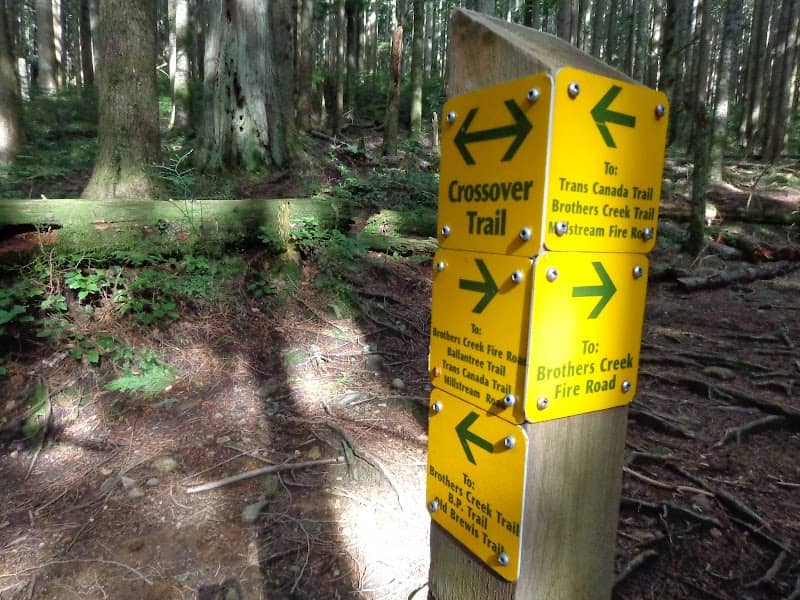 Lawson Creek Trail - Image 1