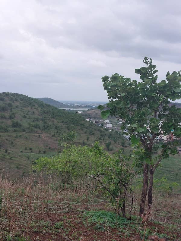 Great God valley - Image 2