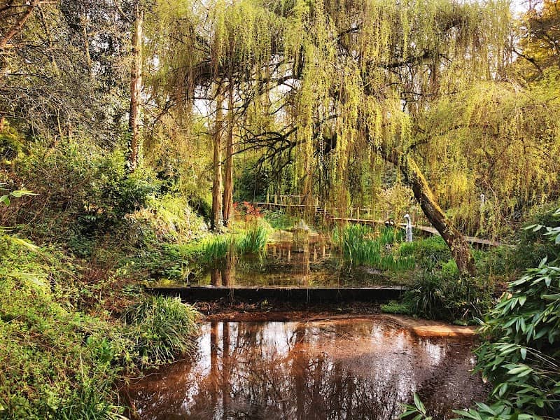 The Lyde Gardens - Image 2