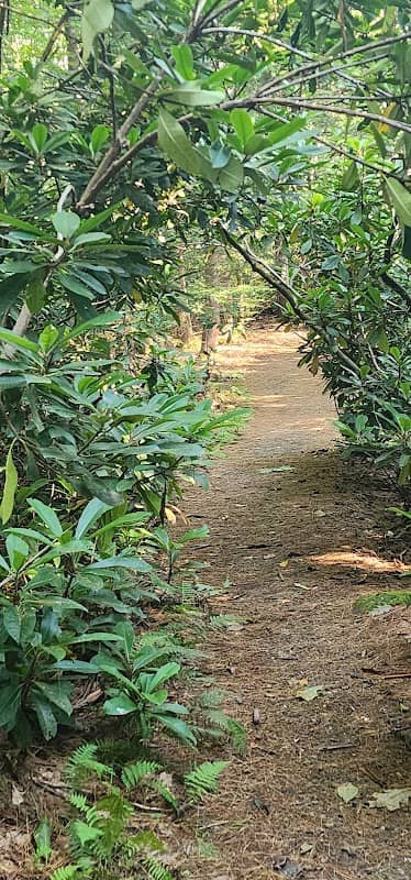 Little Monadnock Trail - Image 2