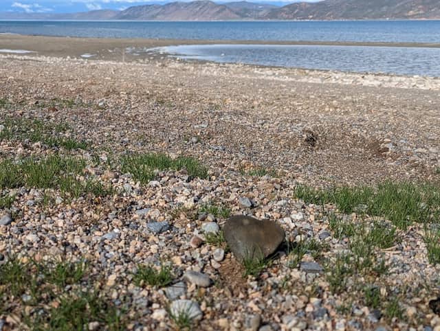 Bear Lake, South West Side - Image 2