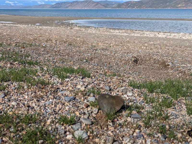 Bear Lake, South West Side - Image 2