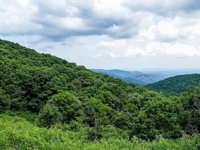 Mahogany Rock Overlook - Image 1