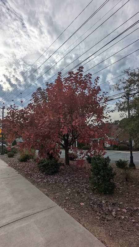 Georgetowne Park - Image 2