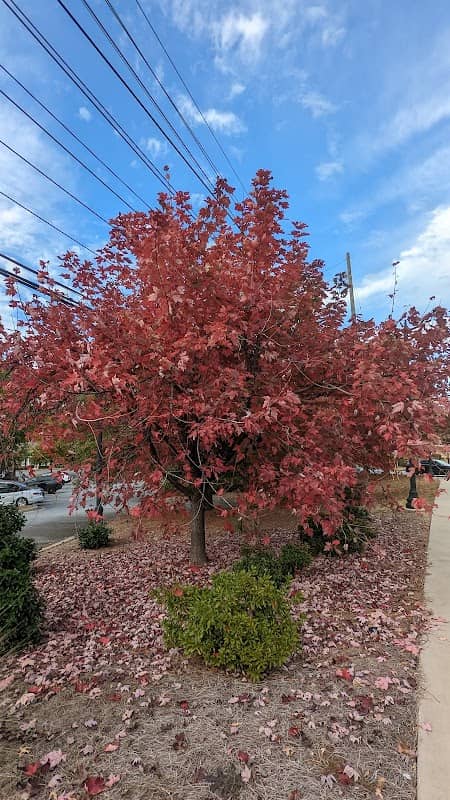Georgetowne Park - Image 1