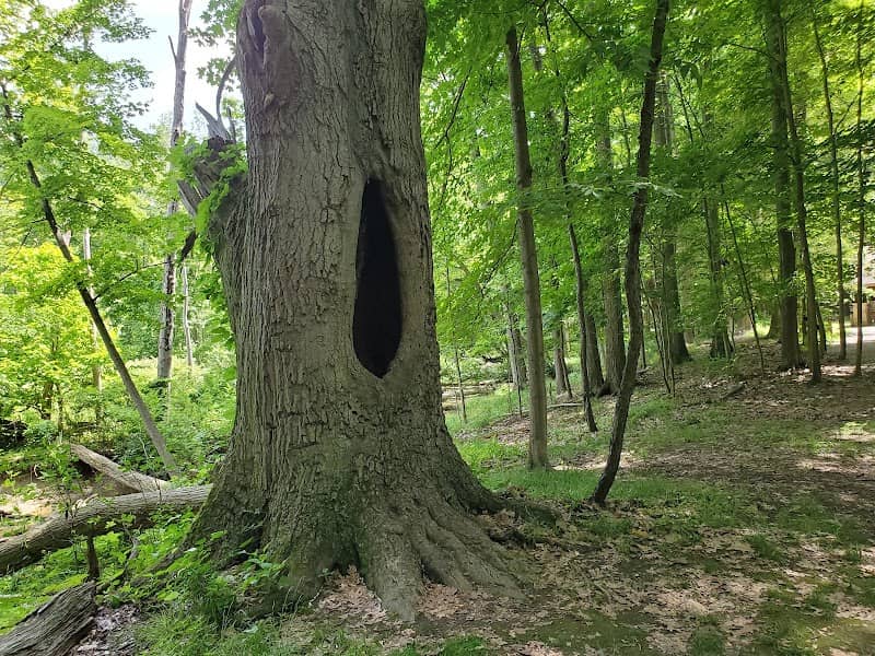 Gully Brook Park - Image 2