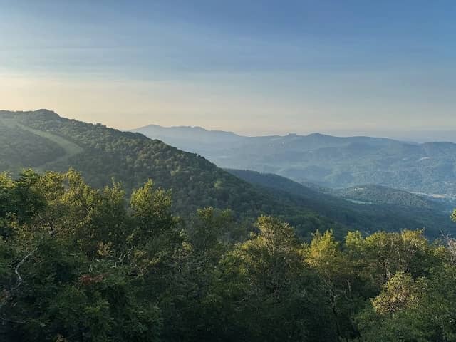 Pride Rock - Image 1