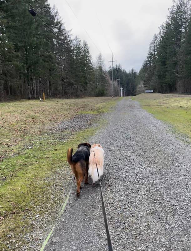 Pipeline Trail - Image 1